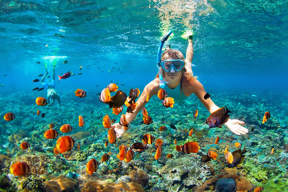 Phi Phi Maya Bay & Bamboo Island by Speedboat