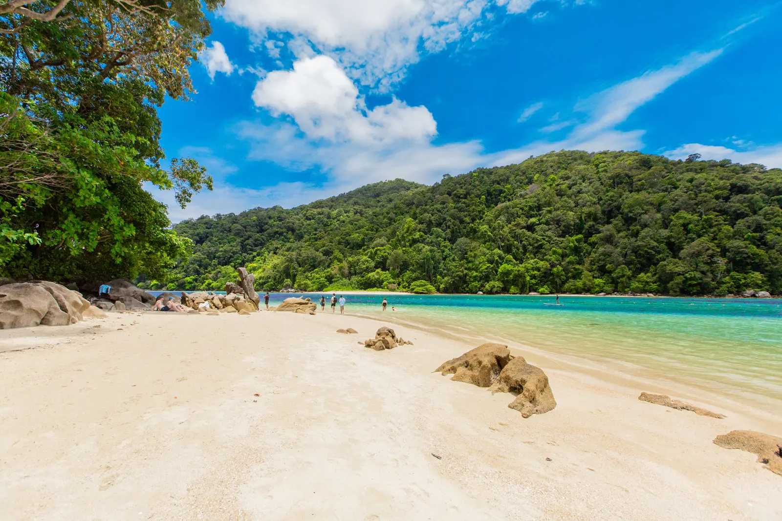Day Trip Snorkelling Surin Island from Khaolak