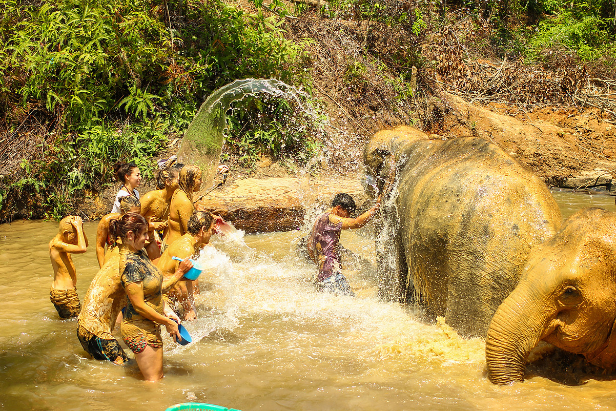 Phuket Elephant Sanctuary
