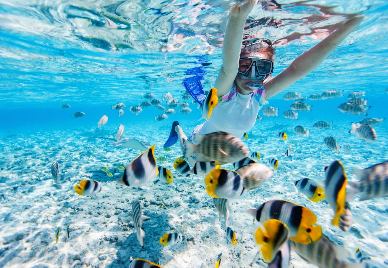 Coral & Racha Island Full Day Tour from Phuket